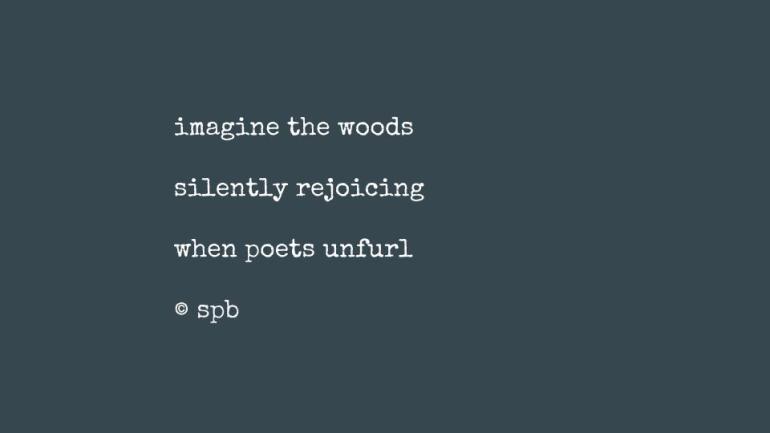 imagine the woods.jpg